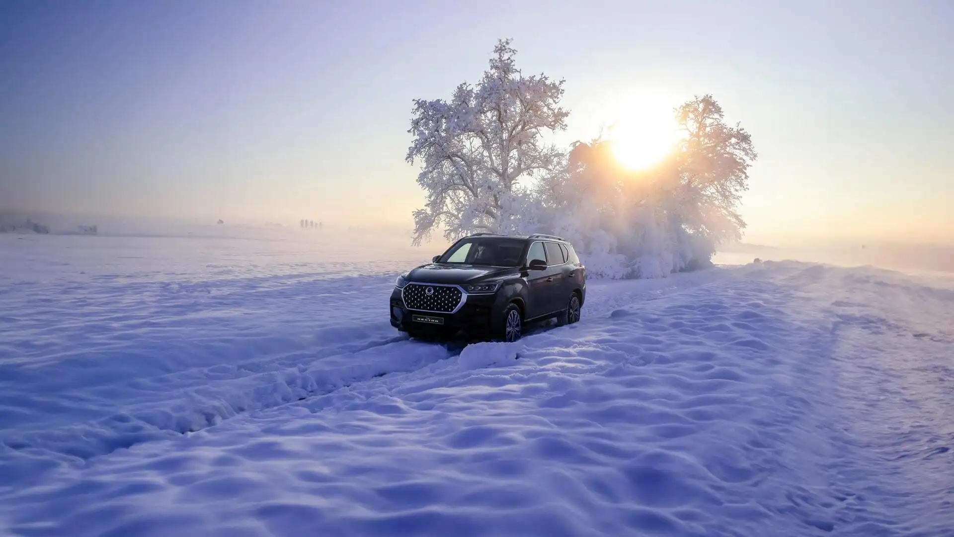 Rexton in winter